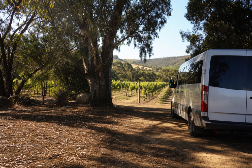 A small-group van parked at the edge of a vineyard with hills beyond, morning light, no text, no logos, no faces