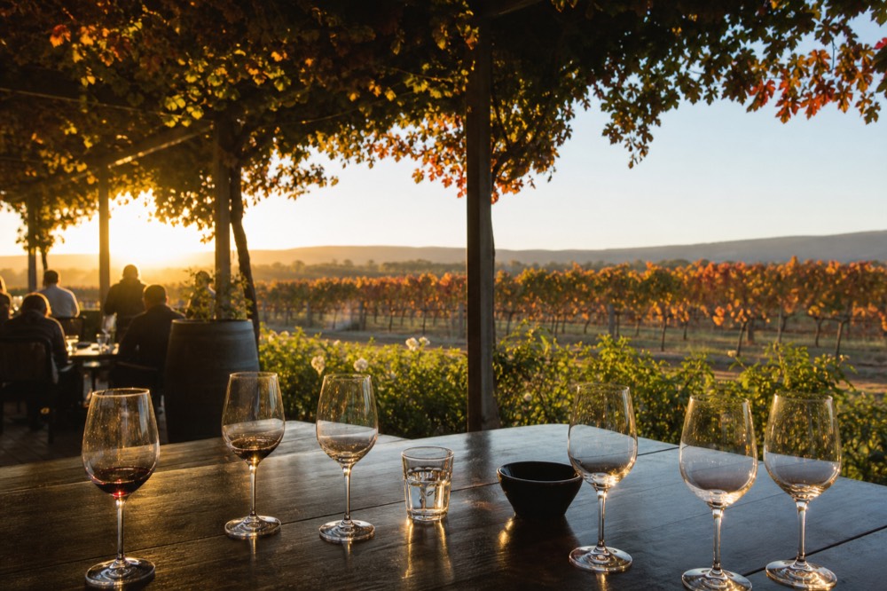 A vineyard tasting terrace with glasses on a table and rows of vines beyond at golden hour, no text, no logos, no faces