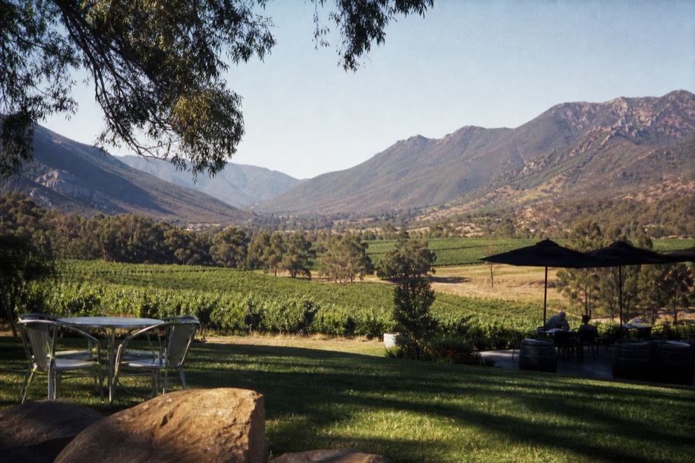 A wide valley of vineyards bounded by mountain ranges on both sides under soft morning light, no text, no logos, no people