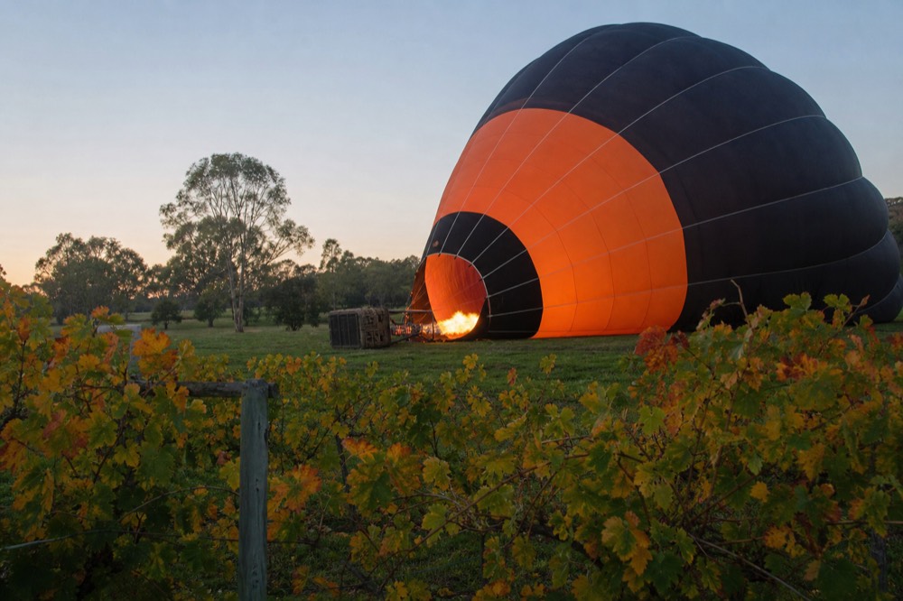 A hot-air balloon being inflated on the ground at dawn in a grassy field beside vineyards, glowing from the burner, no text, no logos, no people