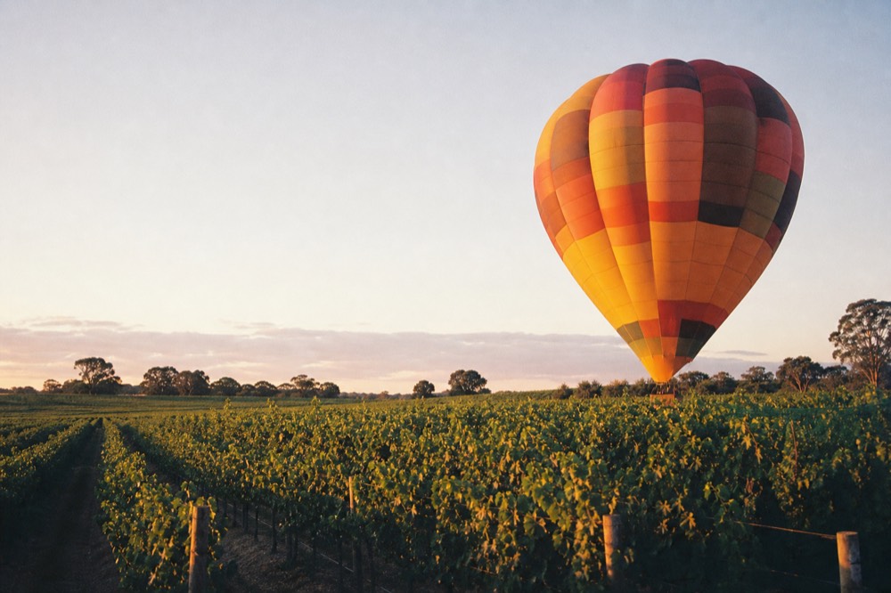 A large hot-air balloon fully inflated and glowing against a pale dawn sky over a vineyard field, no text, no logos, no people